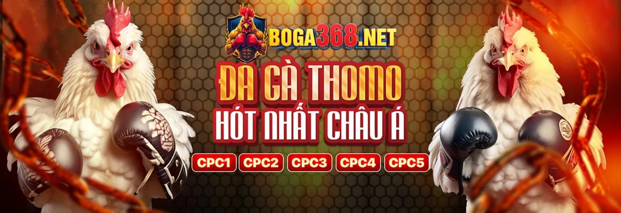 Thông báo khuyến mãi i bet 888